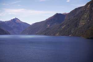 FIORDLAND-NATIONAL-PARK-2019 (260)